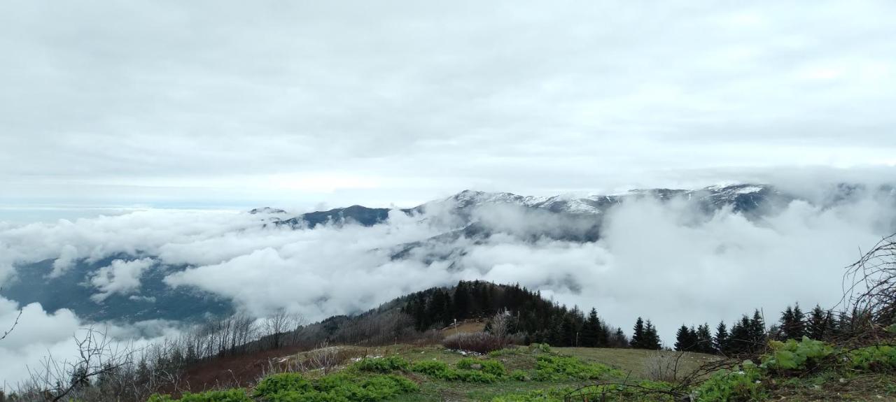 Erdem Apart Otel Trabzon Exterior foto
